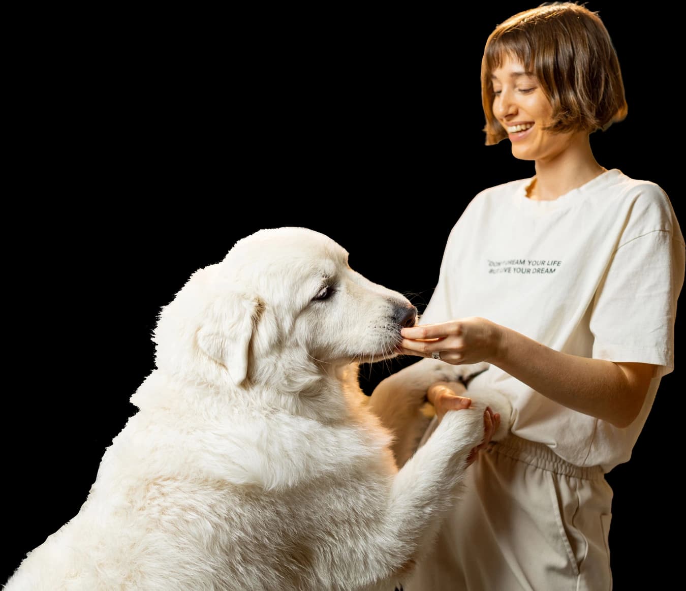 Frau füttert ihren Hund mit der Hand.